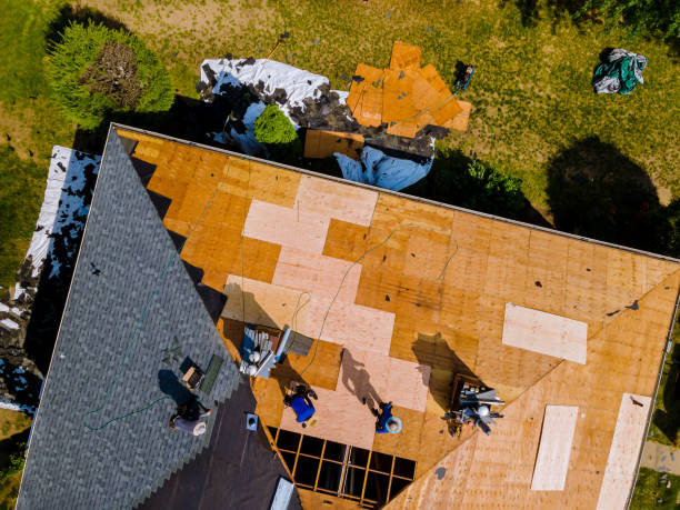 Best Roof Maintenance Services  in Gages Lake, IL